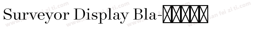 Surveyor Display Bla字体转换